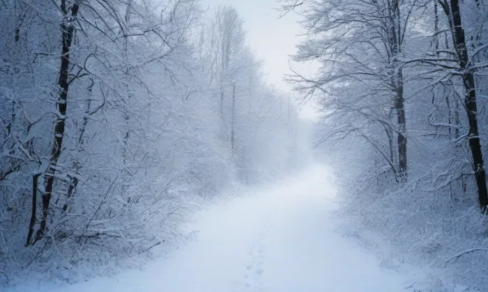 kostel svatého Michala (Žižkovo Pole) – winter