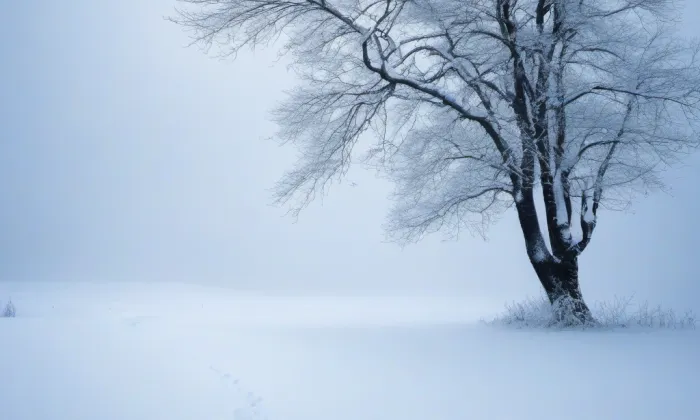 Kostel svatého Mikuláše (Šitboř) – winter