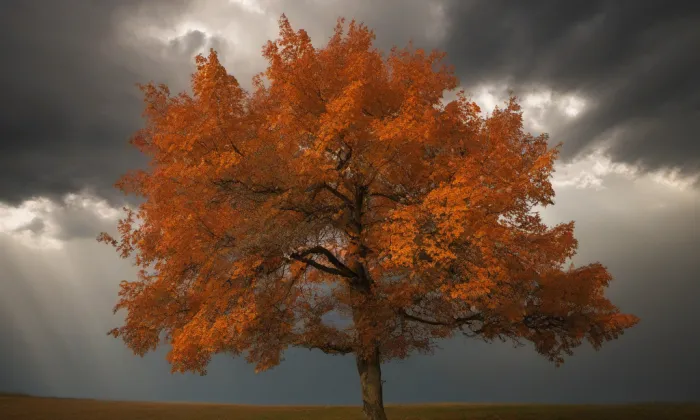 Kostel svatého Mikuláše (Drchlava) – autumn