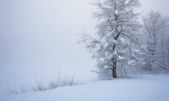 Kostel svatého Mikuláše (Drchlava) – winter