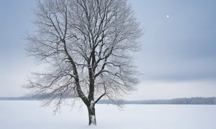 Kostel svatého Mikuláše (Horní Branná) – winter
