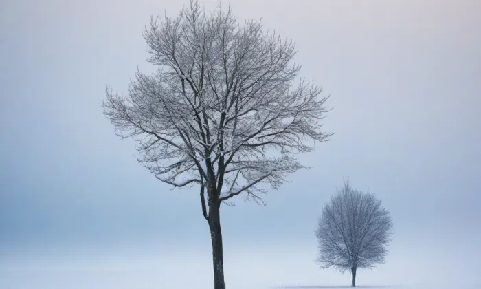kostel svatého Mikuláše (Letonice) – winter