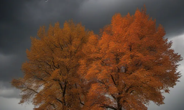 Kostel svatého Mikuláše (Měcholupy) – autumn