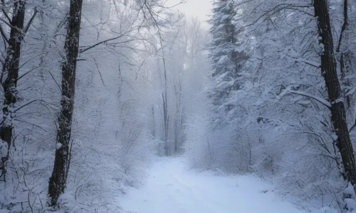 Kostel svatého Mikuláše (Mikulovice) – winter