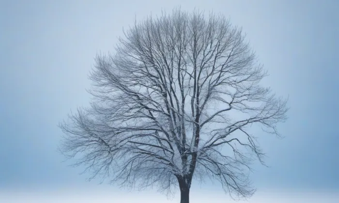 Kostel svatého Mikuláše (Nedvědice) – winter