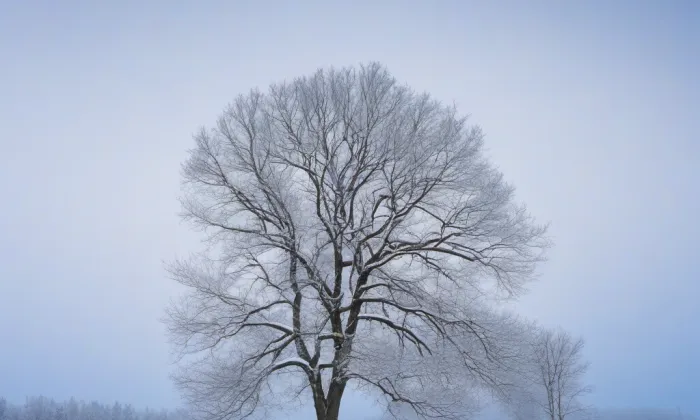 Kostel svatého Mikuláše (Police) – winter