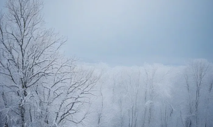 Kostel svatého Mikuláše (Velké Meziříčí) – winter