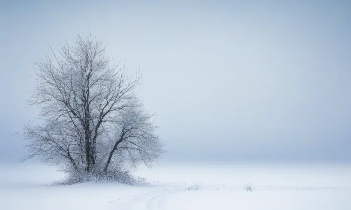 Kostel svatého Mikuláše na Malé Straně – winter