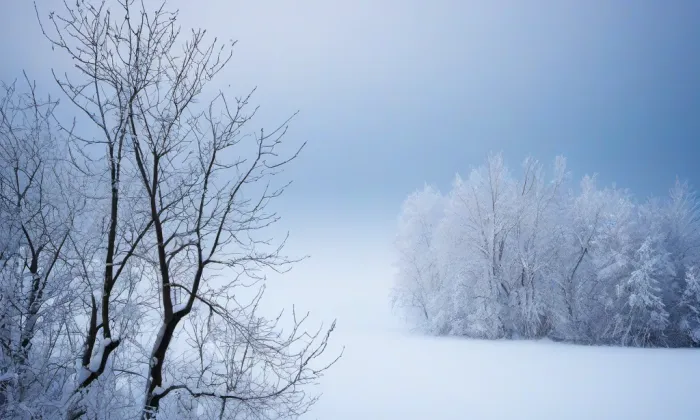 kostel svatého Mikuláše v Němčicích – winter