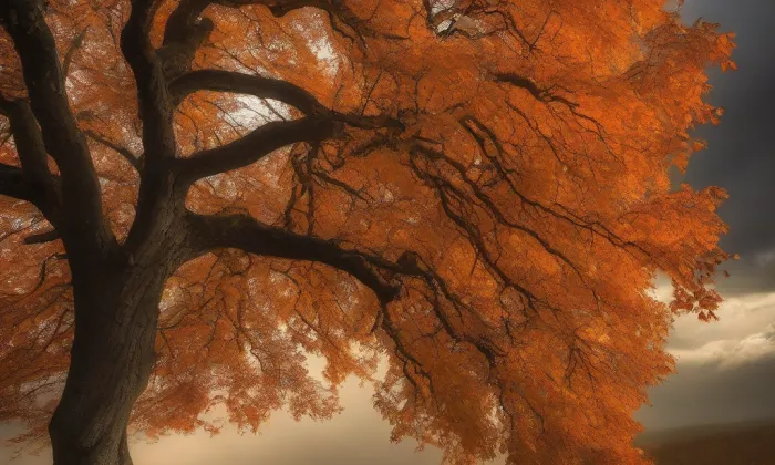 Kostel svatého Mikuláše v Oticích – autumn