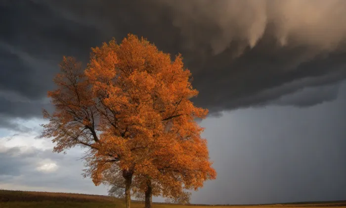 kostel svatého Mikuláše v Praze-Starém Městě – autumn