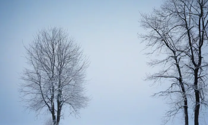 kostel svatého Osvalda (Milovice) – winter