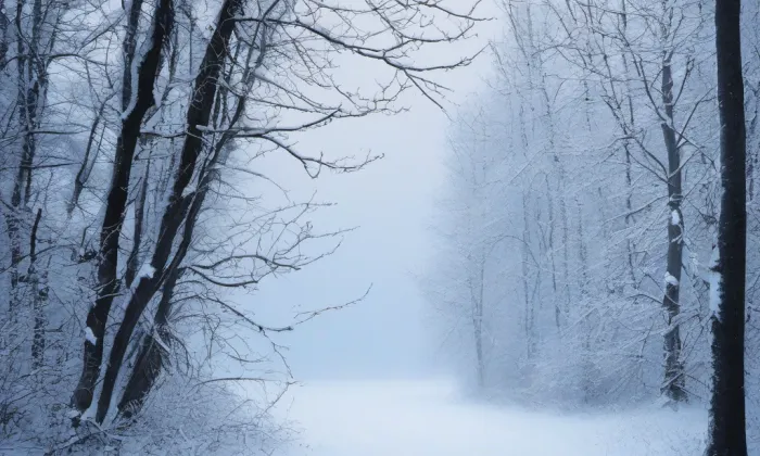 Kostel svatého Otmara – winter