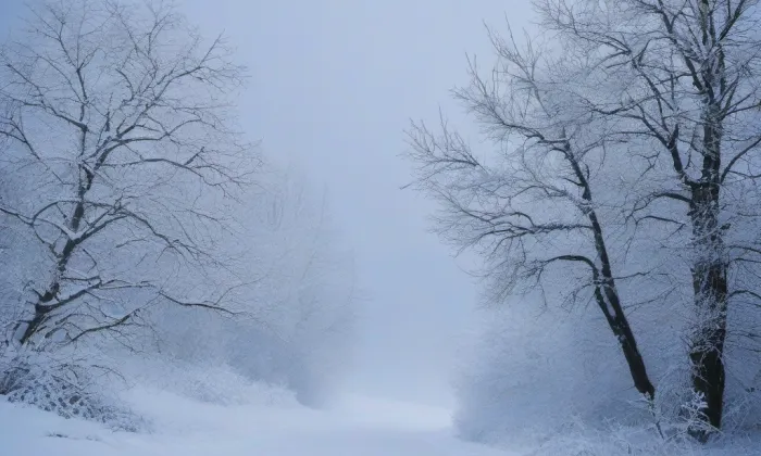 Kostel svatého Petra a Pavla (Čáslav-Staré Město) – winter