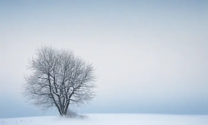 kostel svatého Petra a Pavla (České Křídlovice) – winter