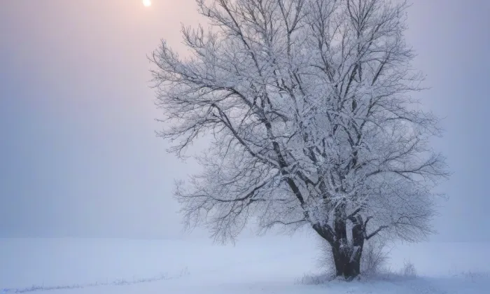 kostel svatého Petra a Pavla (Dříteč) – winter