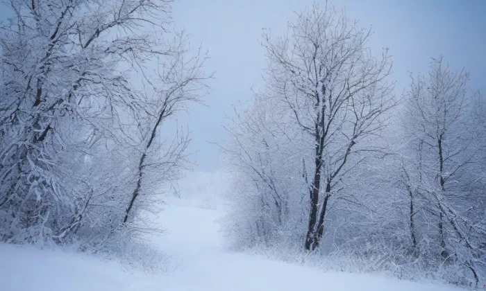 Kostel svatého Petra a Pavla (Dobré) – winter