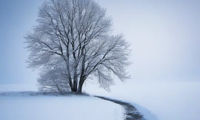 kostel svatého Petra a Pavla (Dolany) – winter