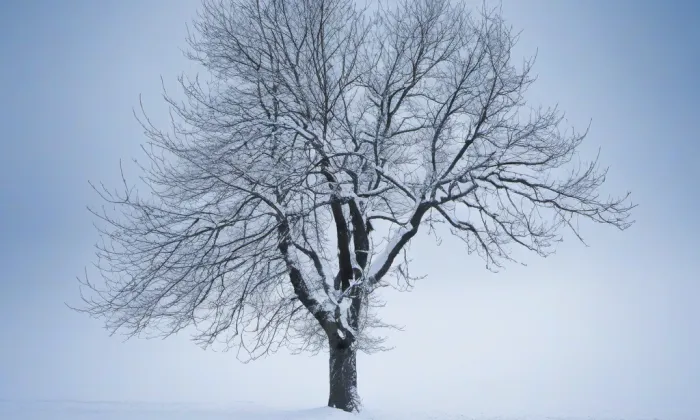 Kostel svatého Petra a Pavla (Dubany) – winter