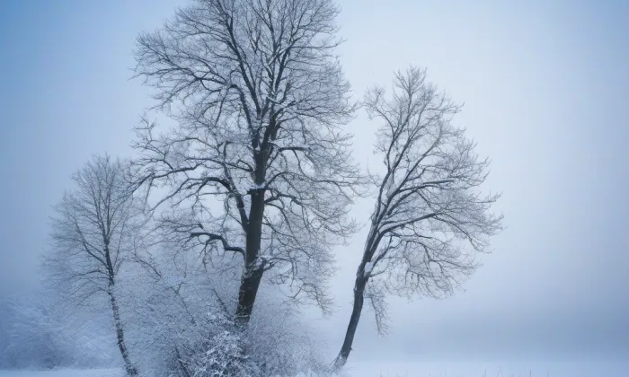 Kostel svatého Petra a Pavla (Jeníkov) – winter