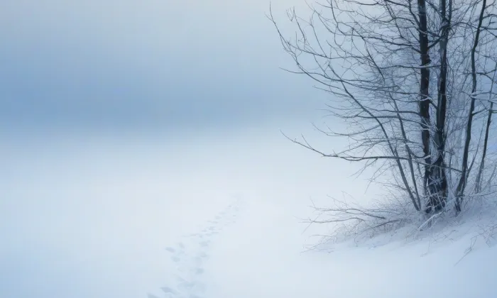 Kostel svatého Petra a Pavla (Korouhev) – winter