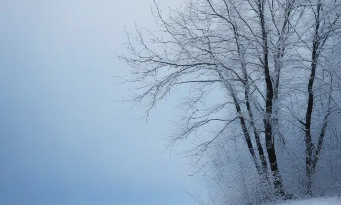 Kostel svatého Petra a Pavla (Kučerov) – winter