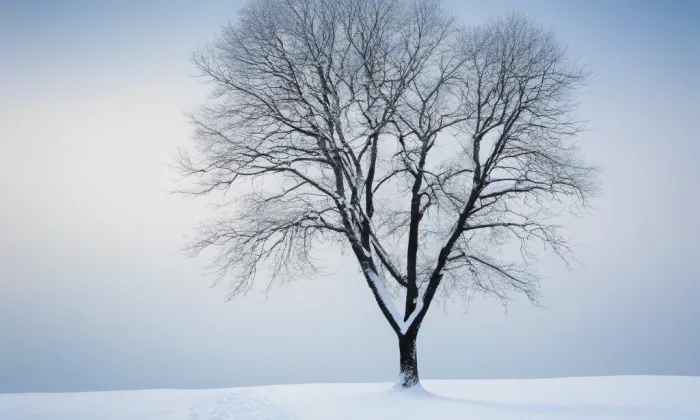 Kostel svatého Petra a Pavla (Liteň) – winter