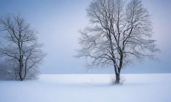 Kostel svatého Petra a Pavla (Ludvíkov pod Smrkem) – winter