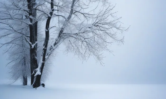 Kostel svatého Petra a Pavla (Milovice u Hořic) – winter