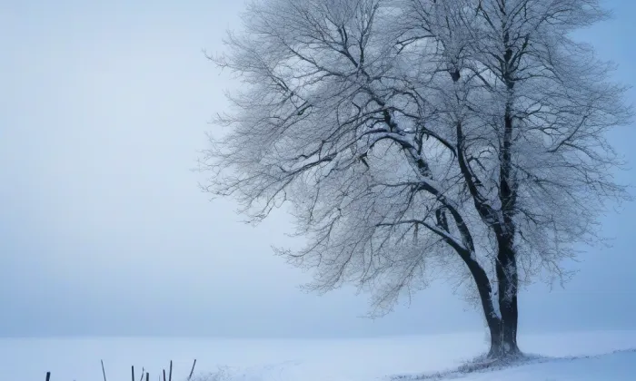 kostel svatého Petra a Pavla (Miroslav) – winter