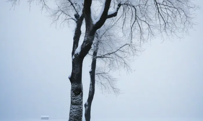 kostel svatého Petra a Pavla (Nová Říše) – winter