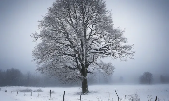 Kostel svatého Petra a Pavla (Podbořany) – winter
