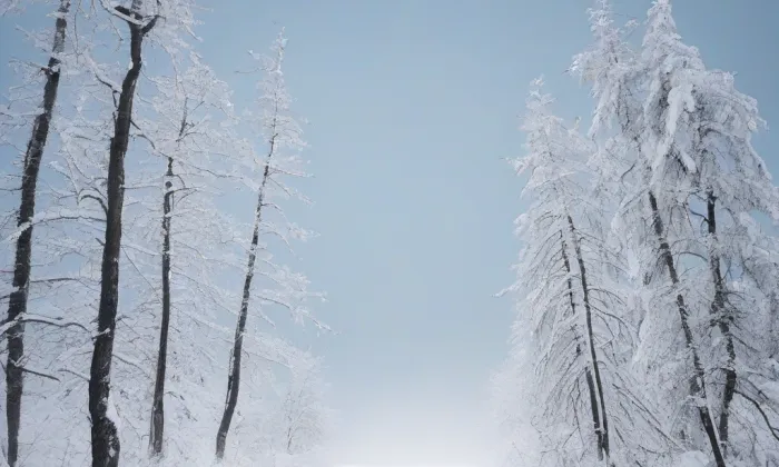 Kostel svatého Petra a Pavla (Soběnice) – winter