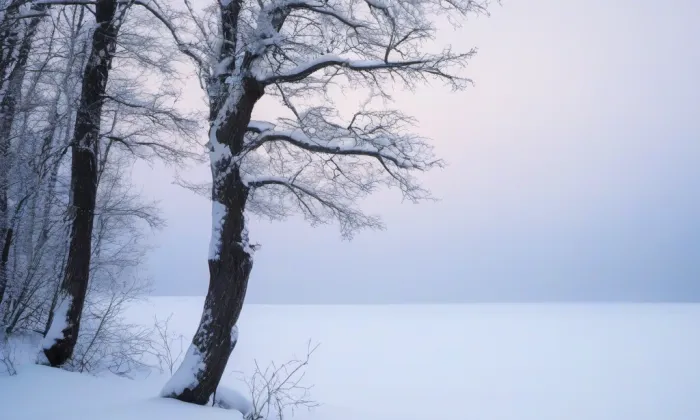 kostel svatého Petra a Pavla (Tasov) – winter