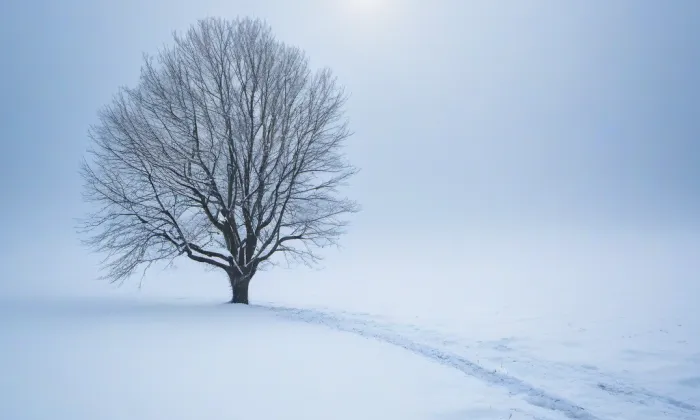 kostel svatého Petra a Pavla (Trnava) – winter