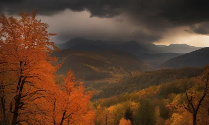 kostel svatého Petra a Pavla (Zdíkovec) – autumn