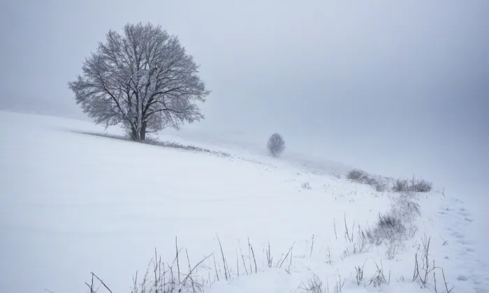 kostel svatého Petra a Pavla (Zdíkovec) – winter
