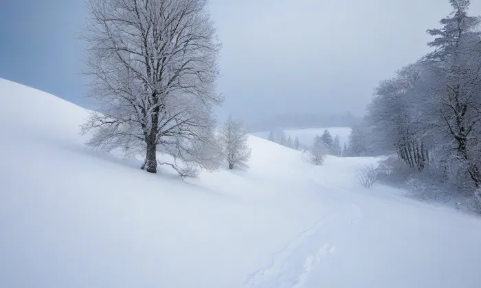 Kostel svatého Petra a Pavla ve Varnsdorfu – winter