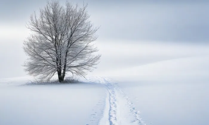 kostel svatého Prokopa (Čehovice) – winter