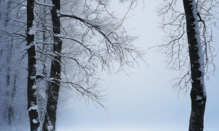 Kostel svatého Prokopa (Žižkov) – winter
