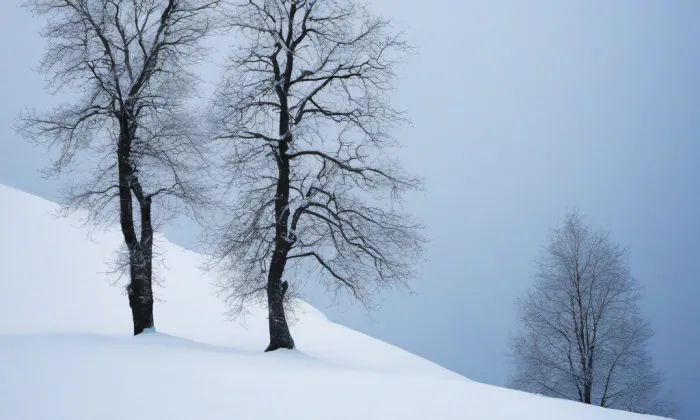 Kostel svatého Prokopa (Běhařov) – winter