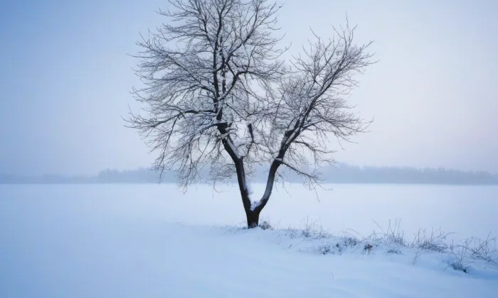 kostel svatého Prokopa (Křtěnov) – winter