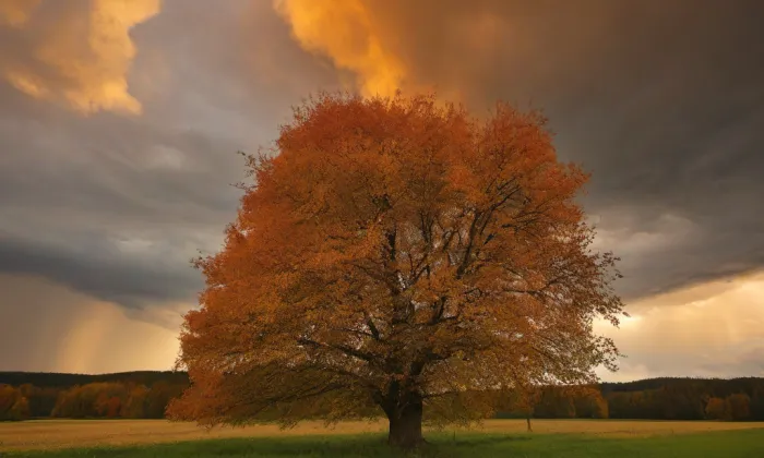 Kostel svatého Prokopa (Nýřany) – autumn
