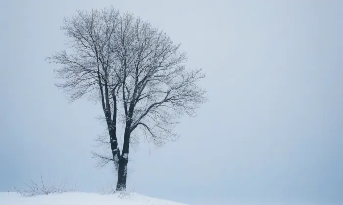 kostel svatého Prokopa ve Svémyslicích – winter