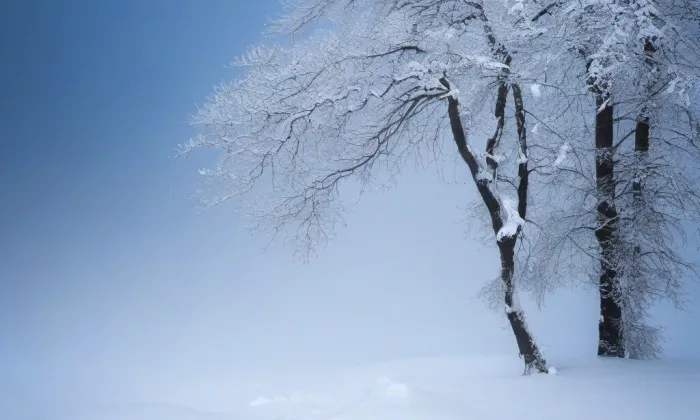 Kostel svatého Rocha (Petrovice) – winter