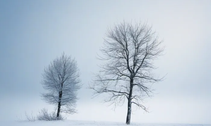 kostel svatého Stanislava (Úvaly) – winter