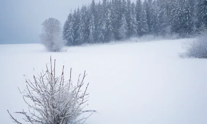Kostel svatého Václava (Číbuz) – winter