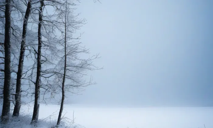 Kostel svatého Václava (České Budějovice 3) – winter