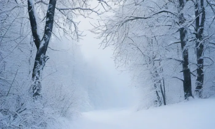 kostel svatého Václava (Činěves) – winter