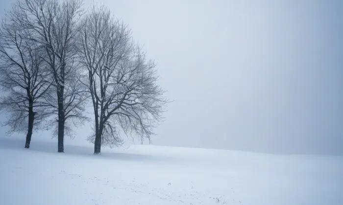 Kostel svatého Václava (Boseň) – winter